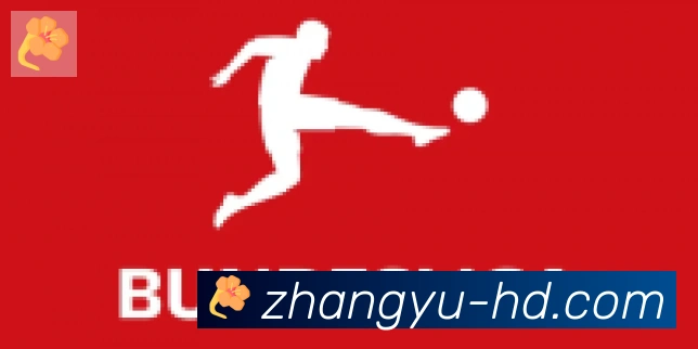 章鱼直播合作伙伴